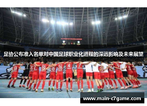 足协公布准入名单对中国足球职业化进程的深远影响及未来展望
